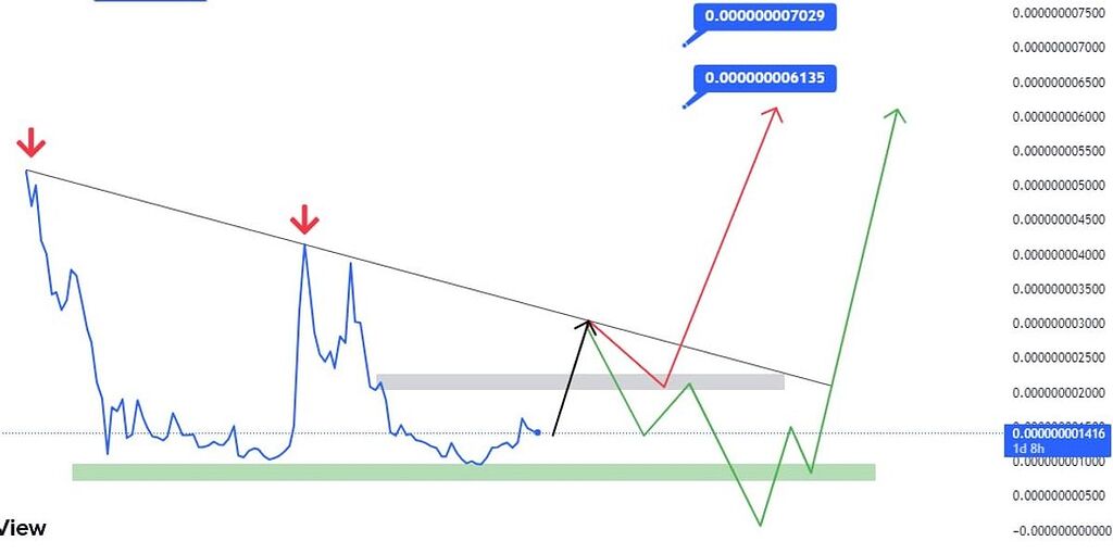 بی بی دوج در حال رسیدن به سقف الگو