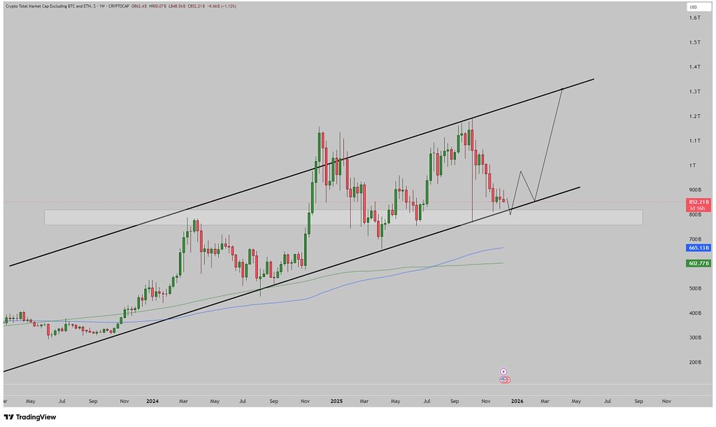 ⁉️آیا فصل آلت‌سیزن برای آلت‌کوین‌ها خواهد رسید؟ 🚀