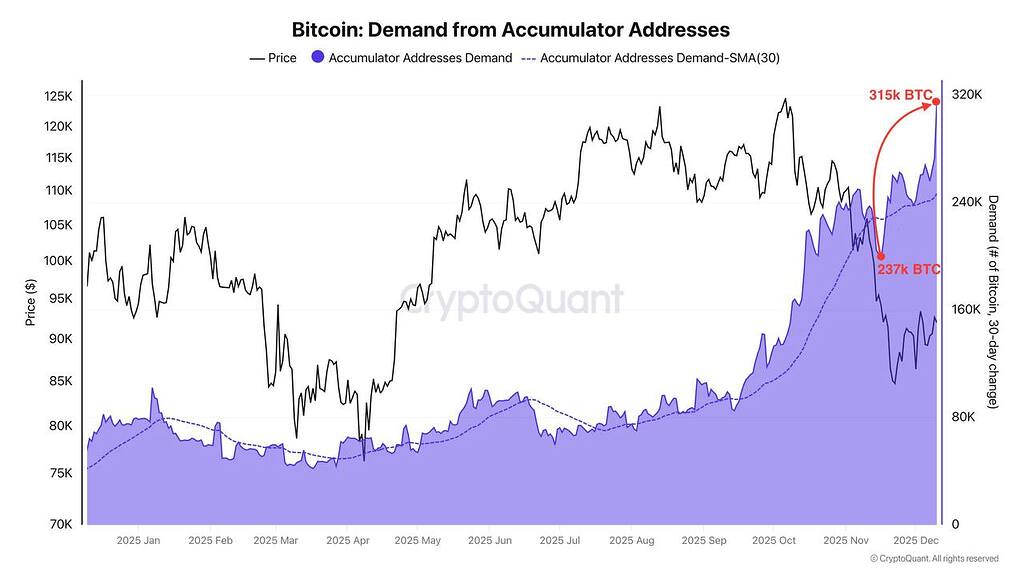 📈 انباشت بیت‌کوین: 315k بیت‌کوین و 28 میلیارد دلار در دست جمع‌کردن✅
