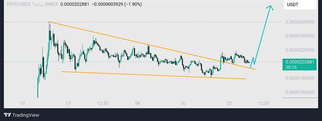 Pepe/usdt.bingx ارز پپه
