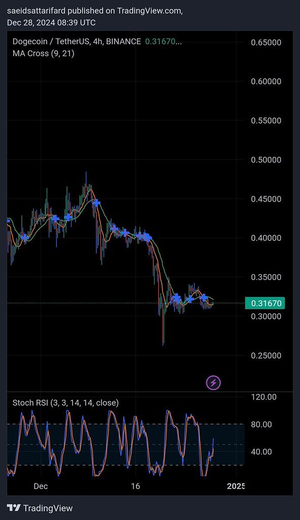 دوج کوین درانتظار بیت کوین