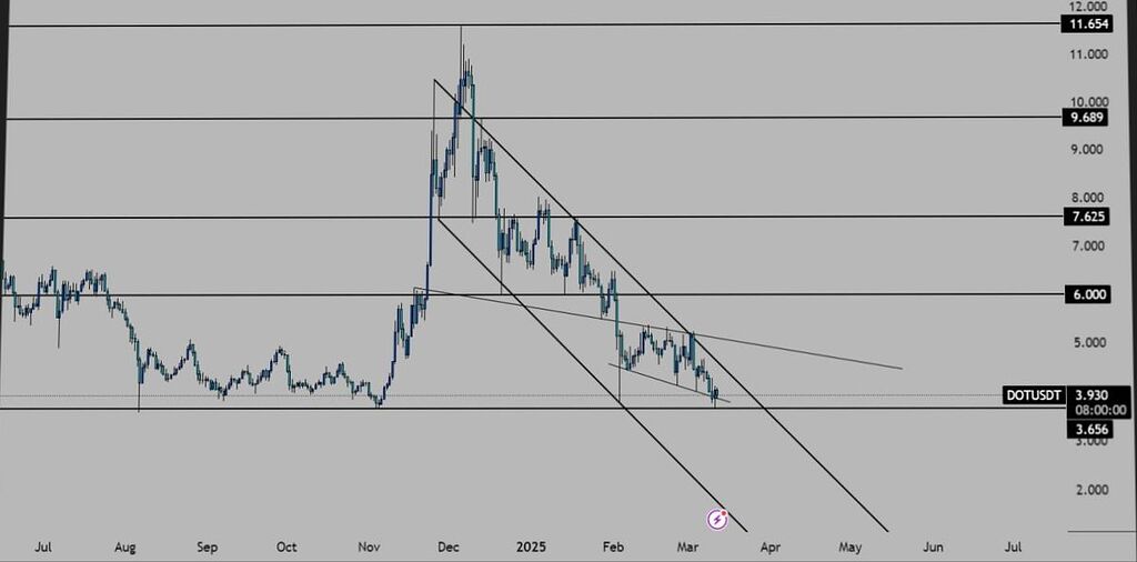 دات کوین ۱۲ دلاری