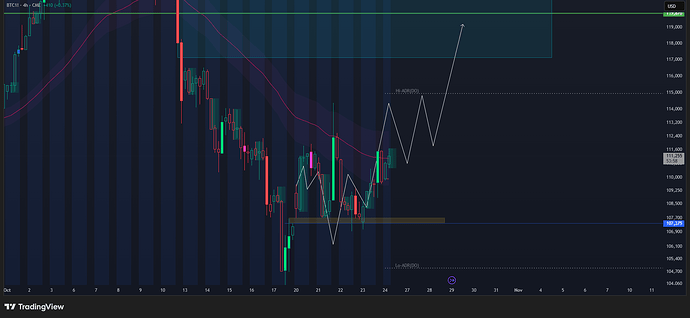 BTC1!_2025-10-24_08-46-02
