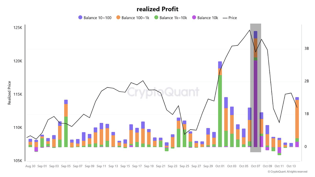 خروج هوشمندانه نهنگ‌ها: ثبت بزرگترین سود پیش از اصلاح قیمت 🐋