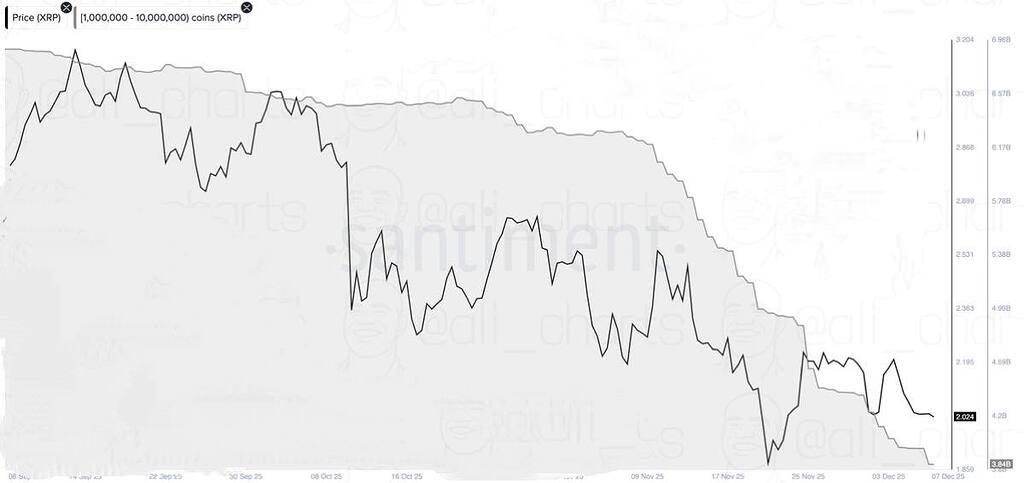 🚨فروش ریپل توسط نهنگ‌ها: بیش از ۱ میلیارد دلار در هفته گذشته 🐳
