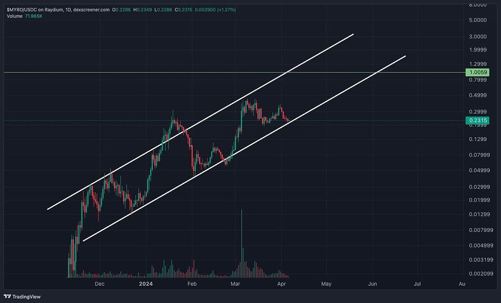 تایم یک روزه