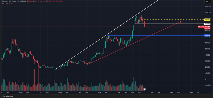 BTCUSD_2025-02-25_18-28-49