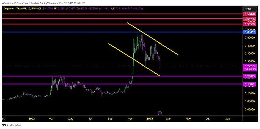 نقشه راه دوج کوین