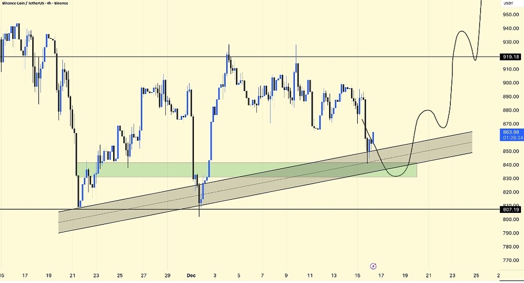 📈 تحلیل 4ساعت بایننس‌کوین: حمایت 840-850 و چشم انداز 920