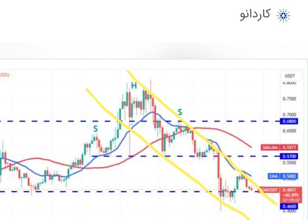 تحلیل ارز کاردانو