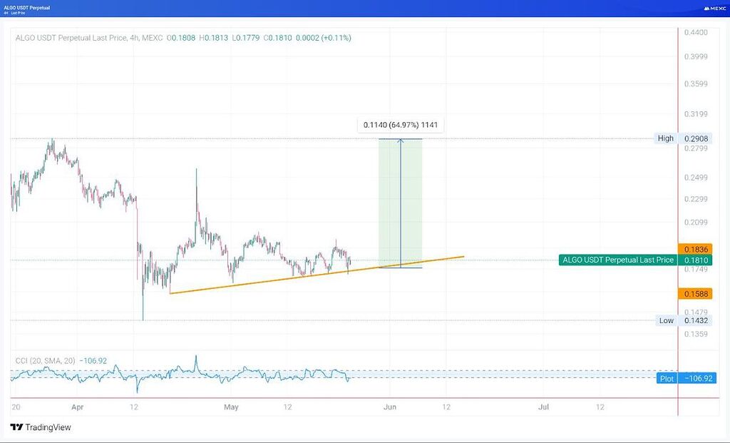 آلگو در کف قیمتی خود می باشد