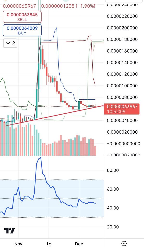 تحلیل راکی ربیت