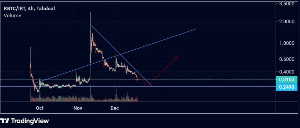 تحلیل ارز راکی رابیت