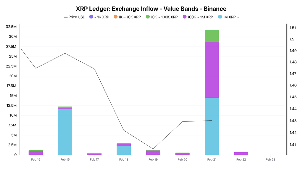 فعالیت نهنگ‌ها ریسک کوتاه‌مدت را برای xrp افزایش داد 🐋