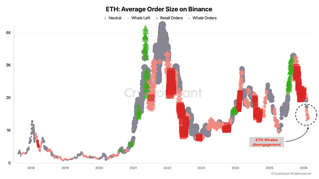اتریوم در شرایط شکننده بازار با کاهش فعالیت نهنگ‌ها روبروست 🐋