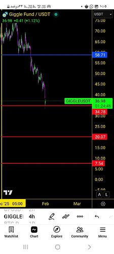 Screenshot_۲۰۲۶۰۲۰۱_۱۰۰۵۱۴_TradingView
