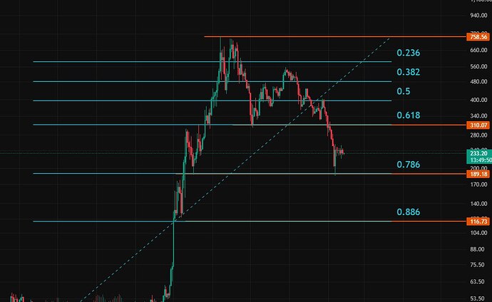 IMG_20260226_011926_262