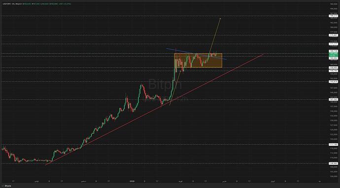 IMAGE 2026-02-25 19:25:46