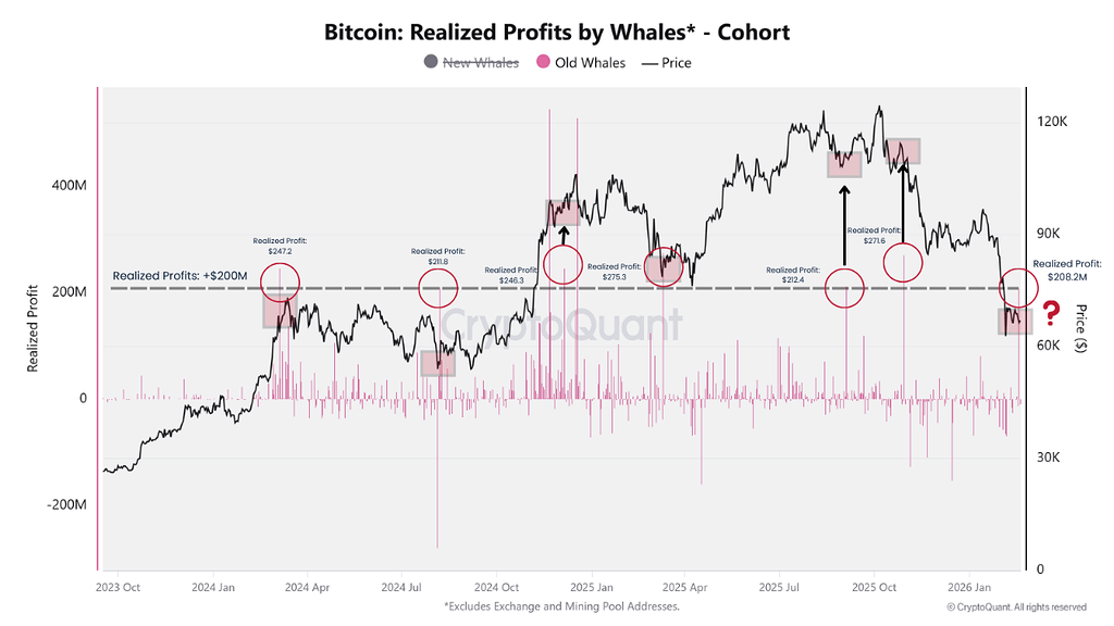 هشدار: الگوی نهنگ‌های قدیمی برای هفتمین بار تکرار شد 🐋 آیا حرکت بزرگ بیت‌کوین نزدیک است؟