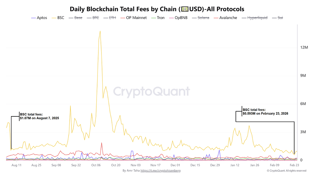 از کارمزد بایننس تا ضرر هولدرهای کوتاه‌مدت: الگویی آشنا قبل از رشد بزرگ بیت‌کوین 📈