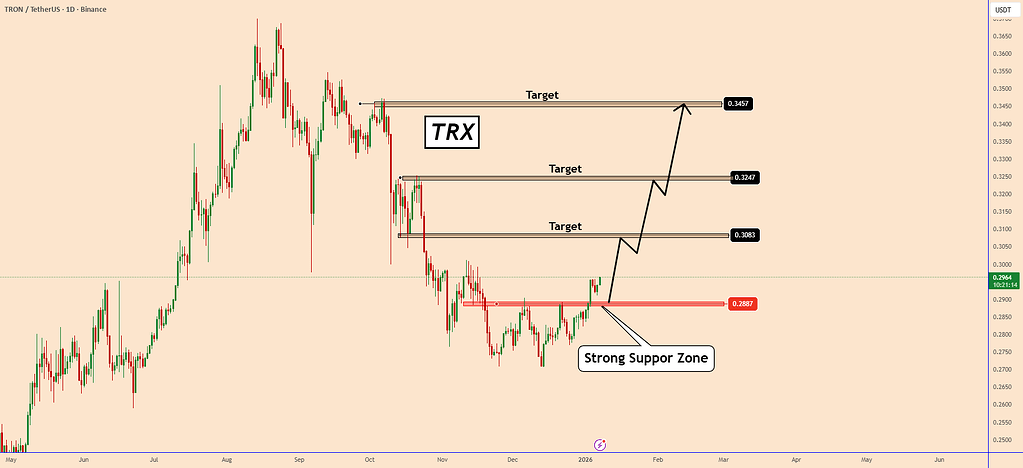 ترون: حمایت قوی حفظ شد – آمادگی برای بازگشت