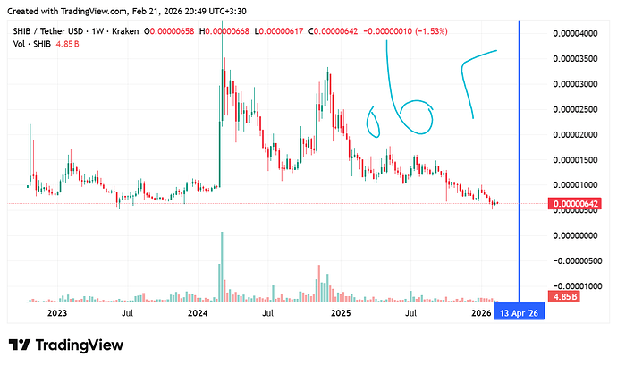 SHIBUSDT_2026-02-21_20-49-44