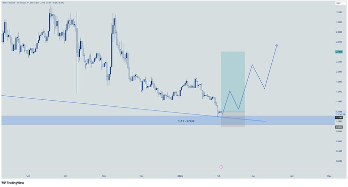 IMG_20260205_011538_766