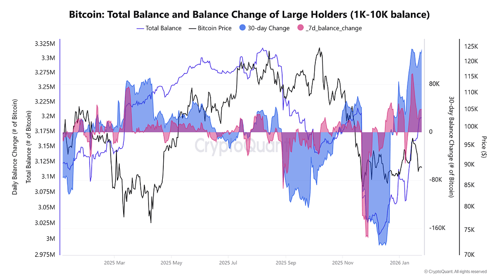 نهنگ‌های بیت‌کوین بعد از فاز توزیع، دوباره شروع به جمع‌آوری کردن 🐋