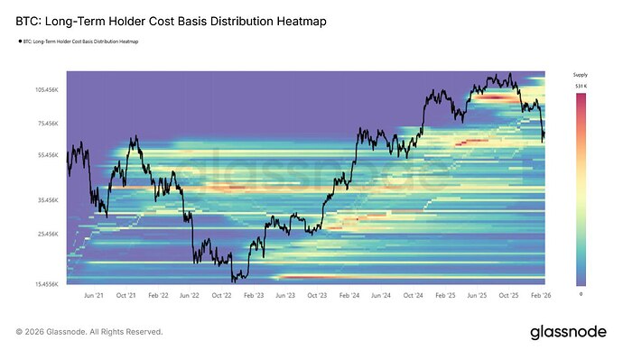 photo_2026-02-17_10-44-05