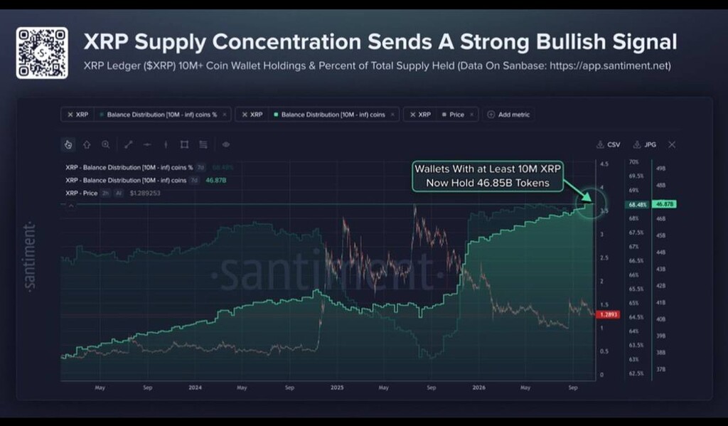 🐳سناریوی صعودی xrp با تکیه بر حمایت نهنگ‌ها 📈