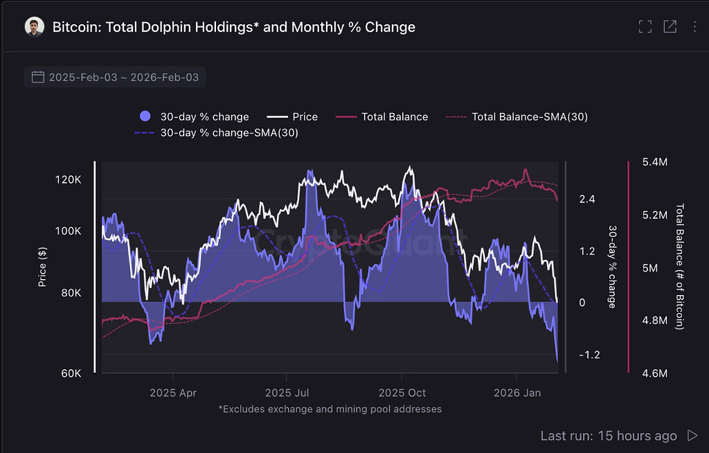 هولدینگ دلفین‌ها در سطح پایین 🐋