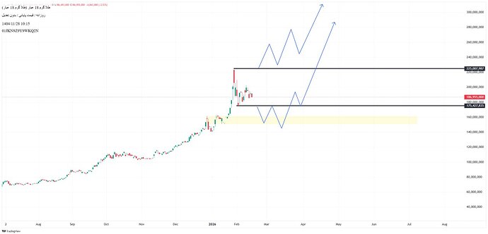 IMG_20260217_132233_665