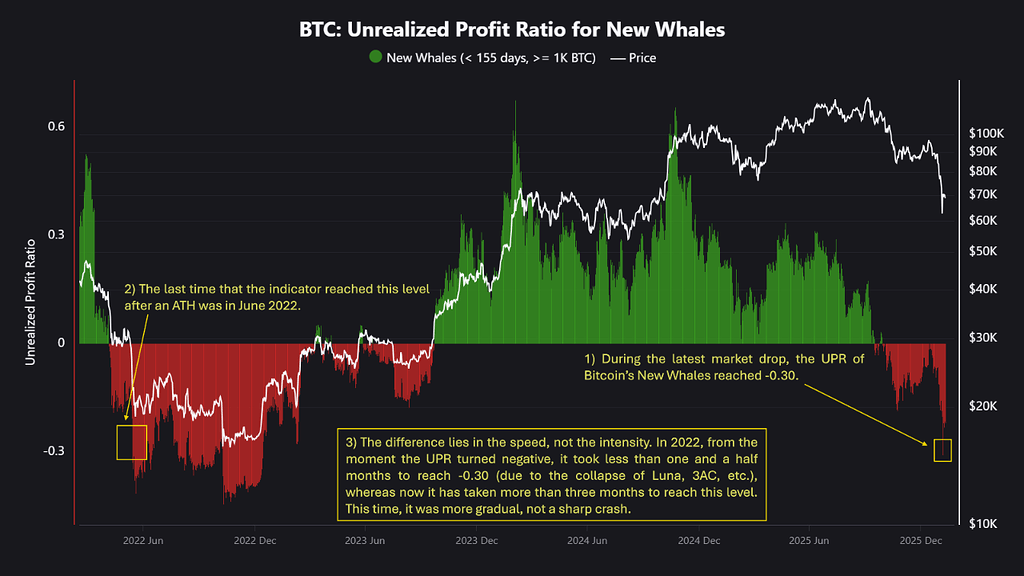 نهنگ‌های تازه‌وارد بیت‌کوین و سیگنال هشدار 🐋