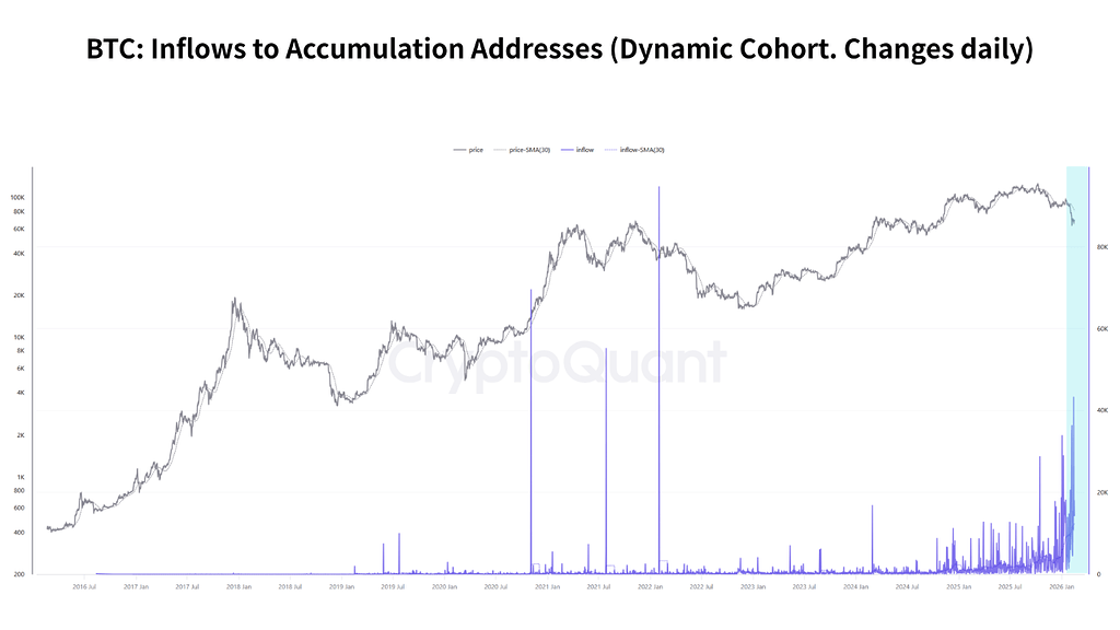 افزایش ورود سرمایه به آدرس‌های انباشت: جذب ساختاری در سایه ترس بازار 📊