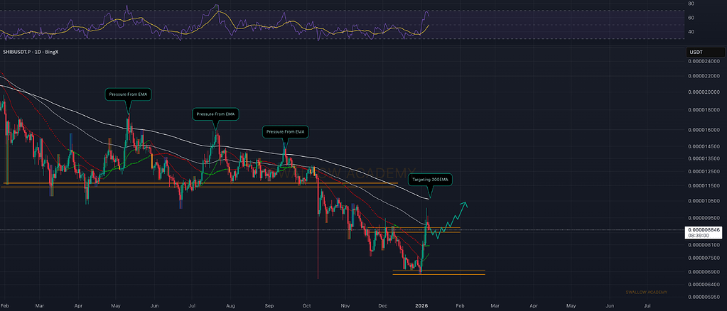 شیبا اینو: هدف ۲۰۰ema و واکنش خریداران