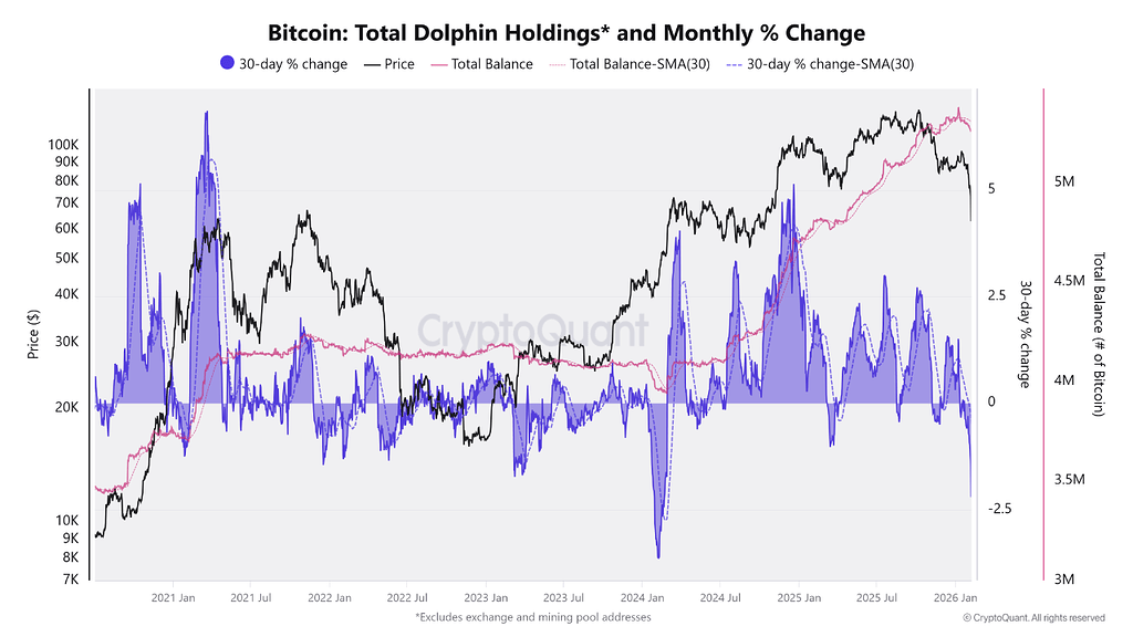 واگرایی بیت‌کوین: افزایش موجودی دلفین‌ها در کنار شکست رشد تقاضا 📉