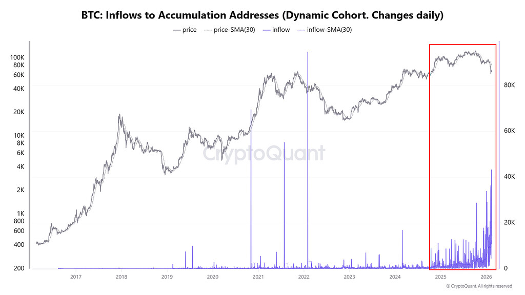 قیمت فعلی بیت‌کوین دقیقاً همان جایی است که نهنگ‌ها شروع به جمع‌آوری کردند 🐋