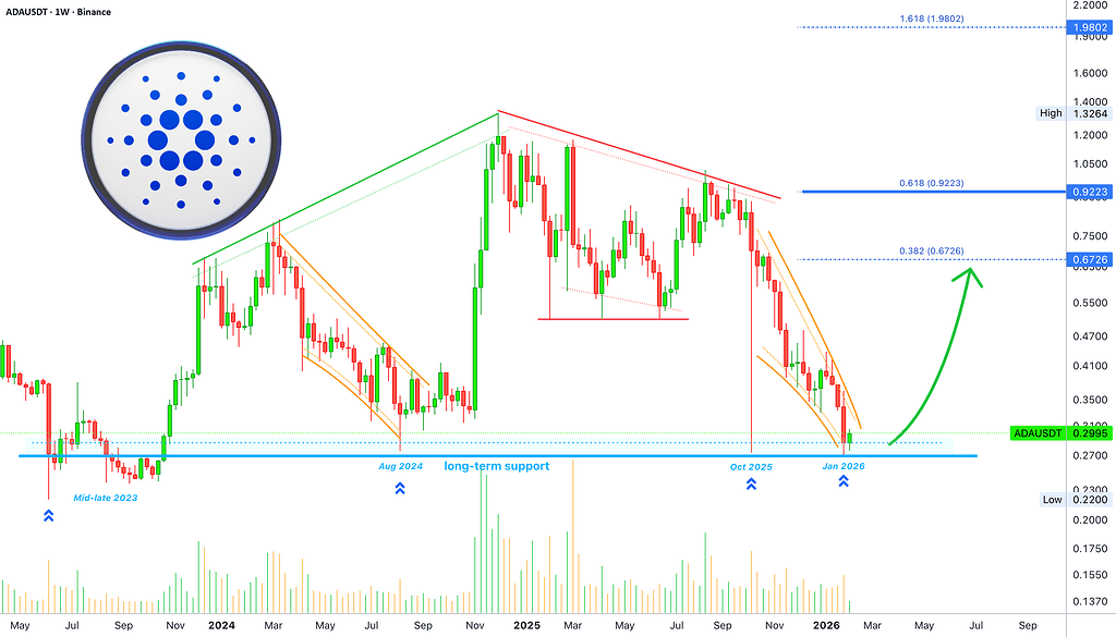 کاردانو حمایت بلندمدت را فعال کرد