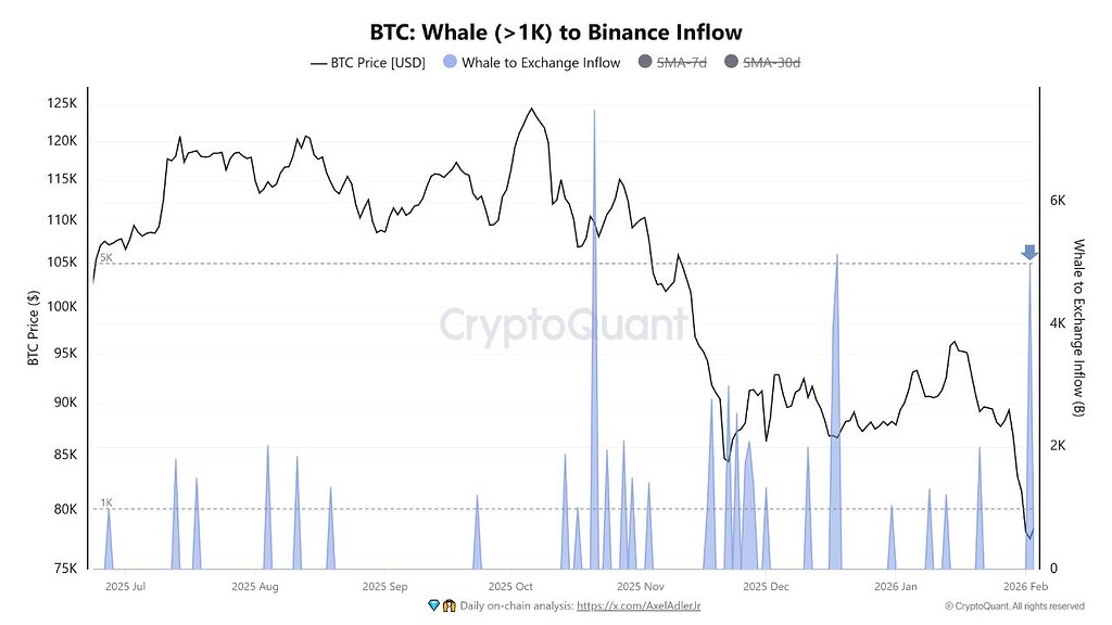 نهنگ‌های بیت‌کوین به بایننس: پیام قیمت آینده 🚨