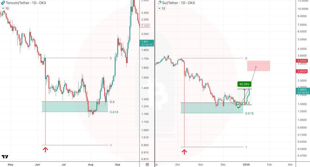 تحلیل قیمت sui و ton: پیش‌بینی بهبود در ناحیه فیبوناچی