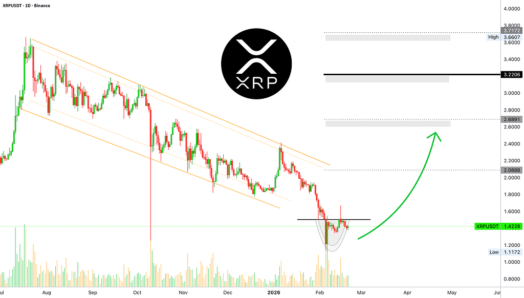 لانگ ریپل با اهرم ۸ و پتانسیل ۱۰۰۰٪