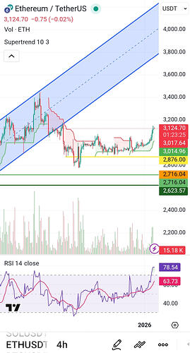 Screenshot_2026-01-03-06-06-44-582-edit_com.tradingview.tradingviewapp
