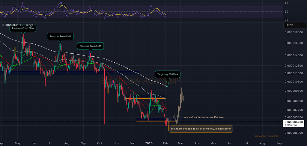 شیبا اینو: خریداران در حال جنگ روی این منطقه