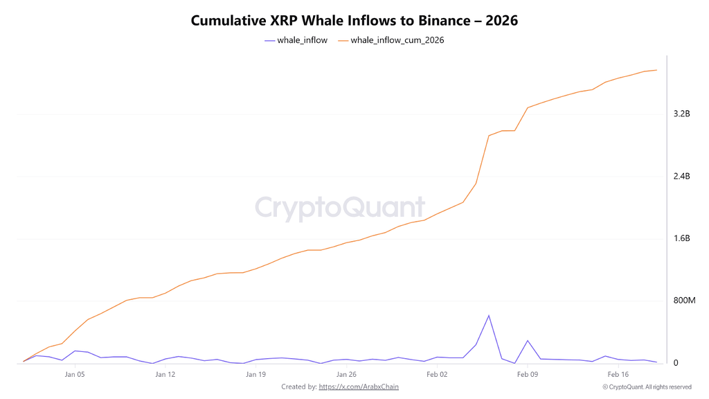 ورود 3.8 میلیارد ریپل از کیف‌پول نهنگ‌ها به بایننس از ابتدای 2026 🐋