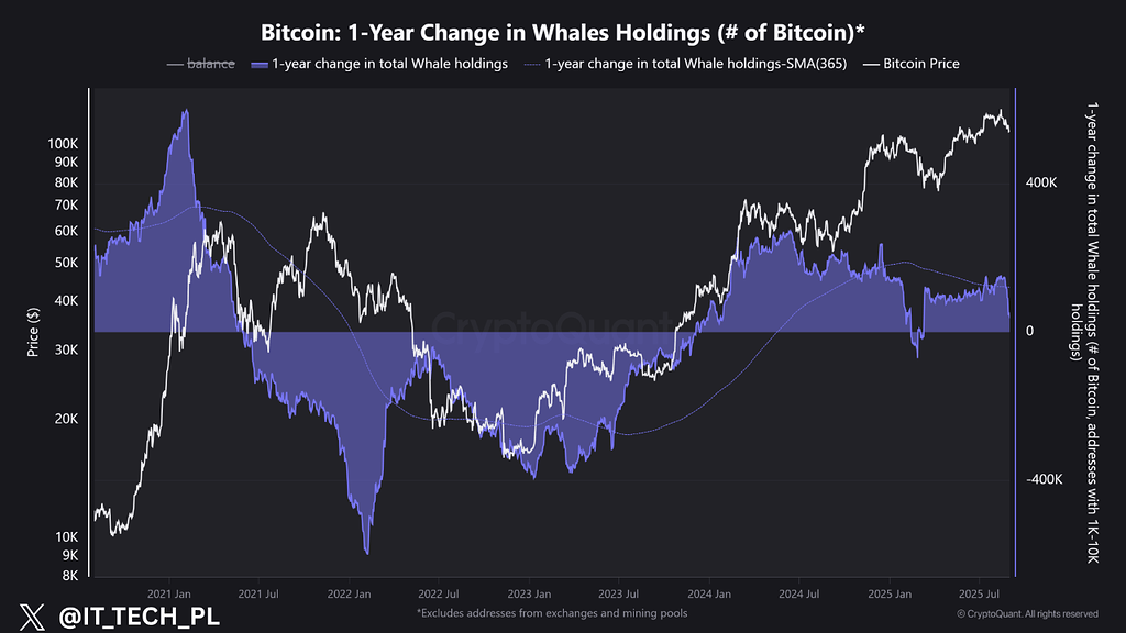 نهنگ‌ها تعقیب نمی‌کنند، جمع می‌کنند و بعد متوقف می‌شوند 🐋
