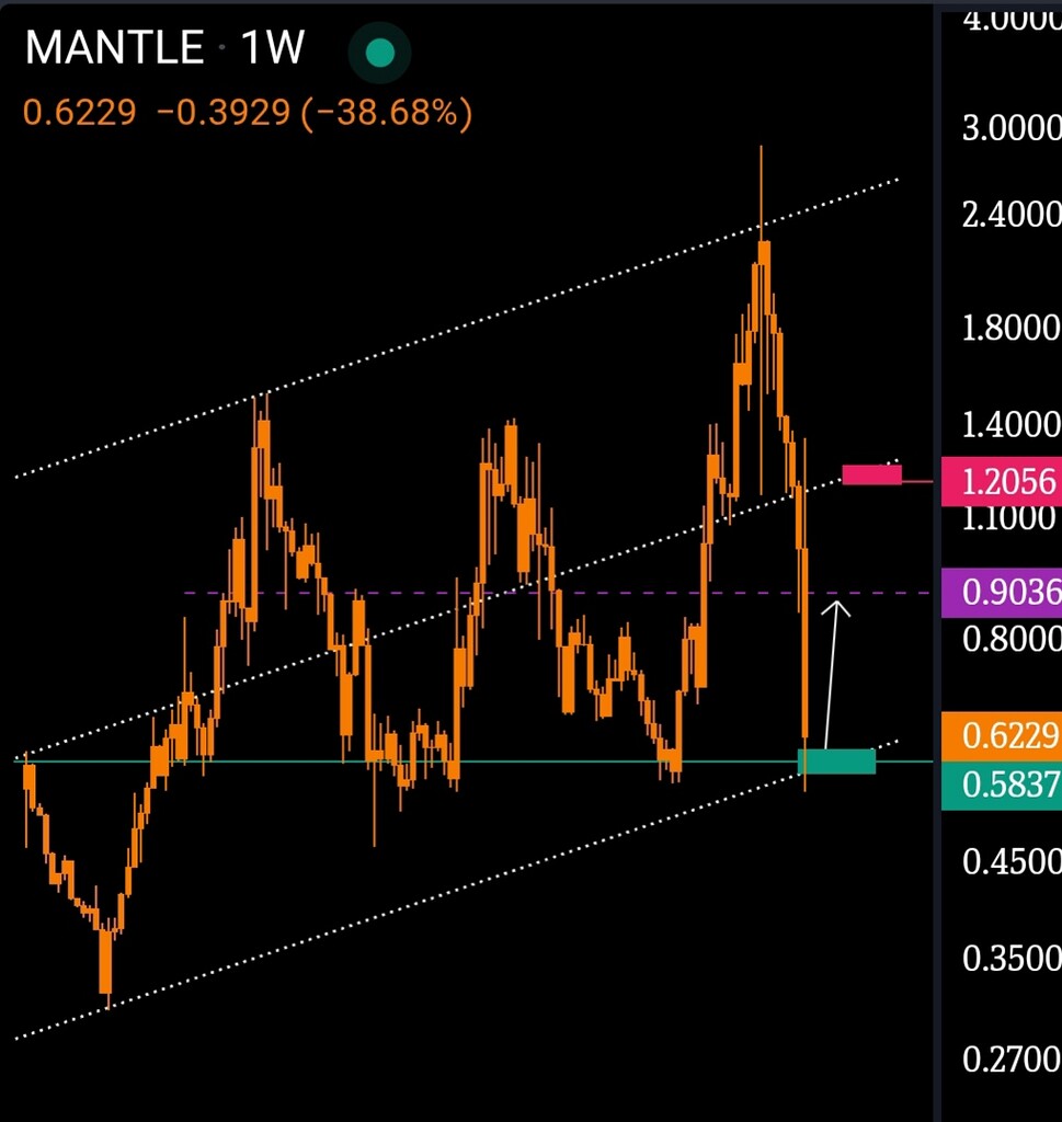 Illı 𝕄ℕ𝕋 . 𝕌𝕊𝔻𝕋 ıllı