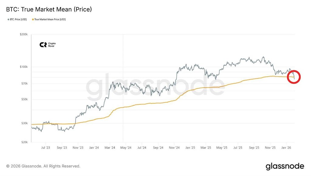 پایین رفتن بیت‌کوین زیر میانگین True Market Mean و فرصت خرید 48‑50k$ ⚠️