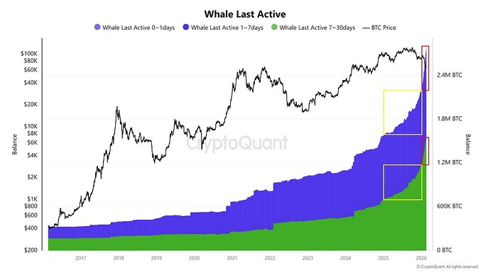 IMG_20260219_224630_696