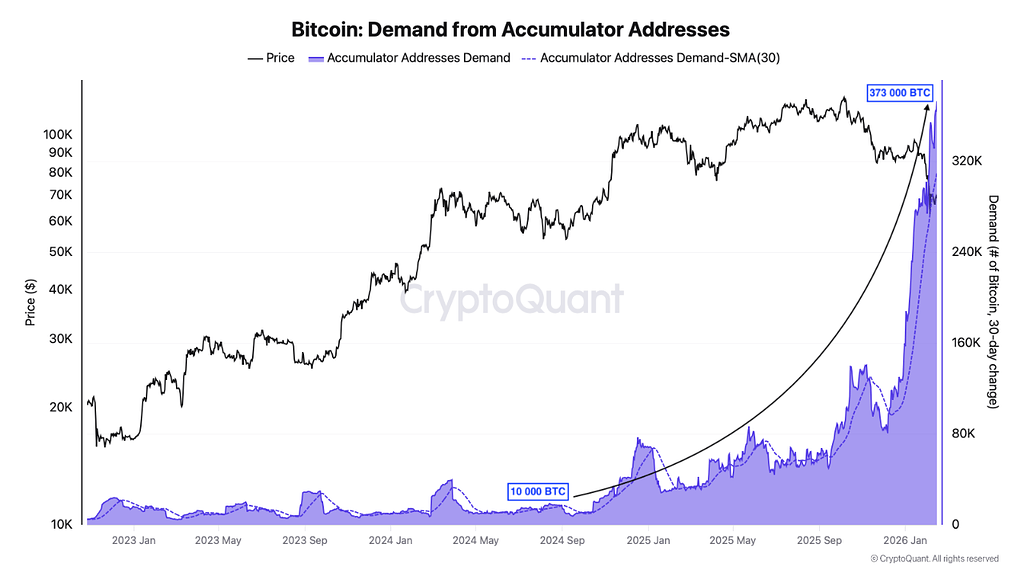 افزایش چشمگیر تقاضا از سوی آدرس‌های انباشته‌کننده 📈