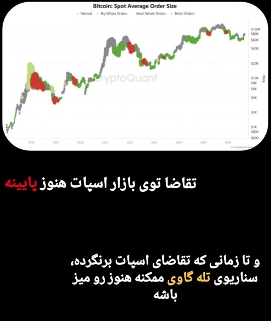 تقاضای اسپات نباشه، از بازار صعودی خبری نیست👀